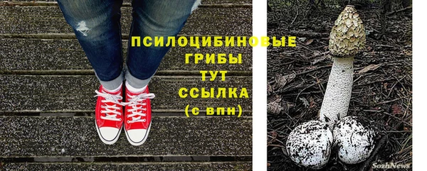 бошки Аркадак