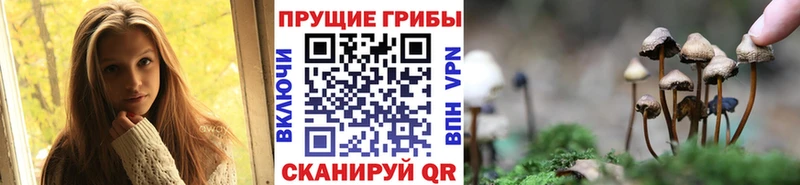 Галлюциногенные грибы мицелий  наркошоп  площадка наркотические препараты  Минусинск 
